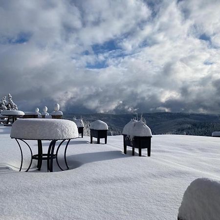 Berghotel Stutenhaus Schmiedefeld am Rennsteig Exteriör bild